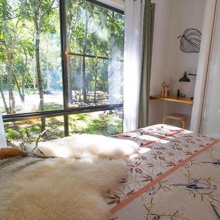 Airlie Beach Eco Cabins - Adults Only المظهر الخارجي الصورة