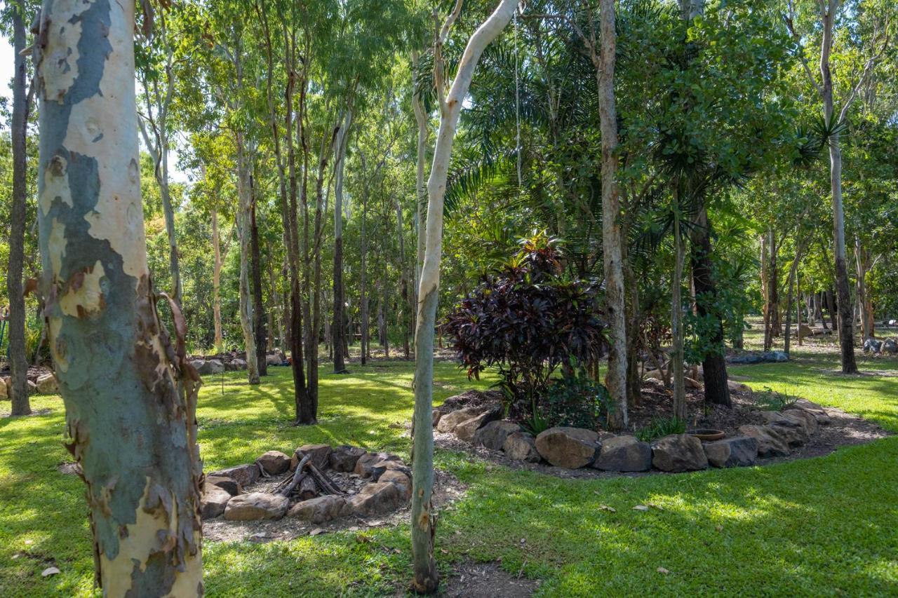 Airlie Beach Eco Cabins - Adults Only المظهر الخارجي الصورة