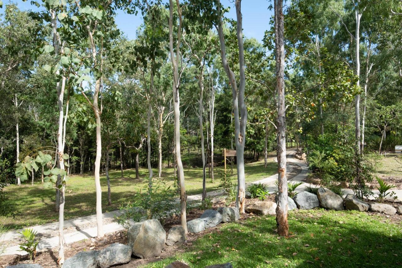 Airlie Beach Eco Cabins - Adults Only المظهر الخارجي الصورة