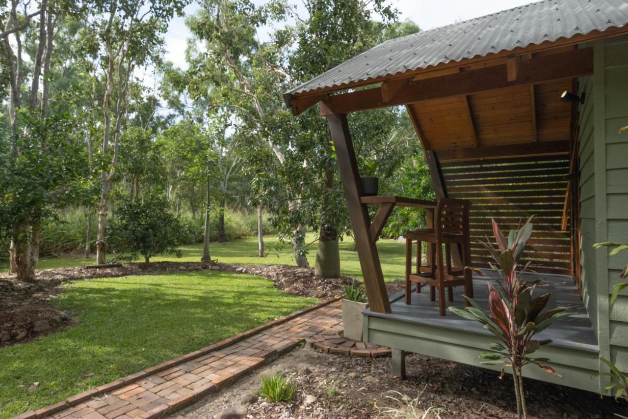Airlie Beach Eco Cabins - Adults Only المظهر الخارجي الصورة