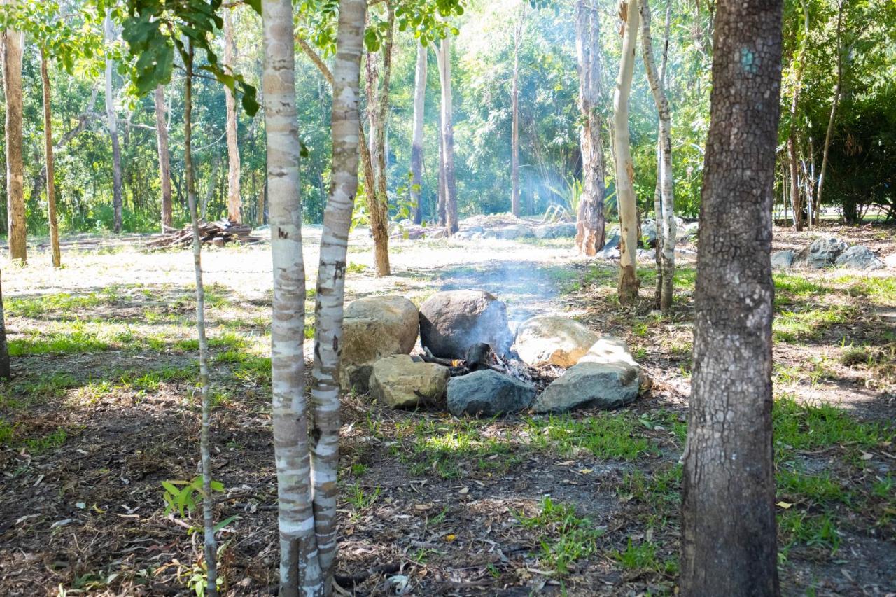 Airlie Beach Eco Cabins - Adults Only المظهر الخارجي الصورة