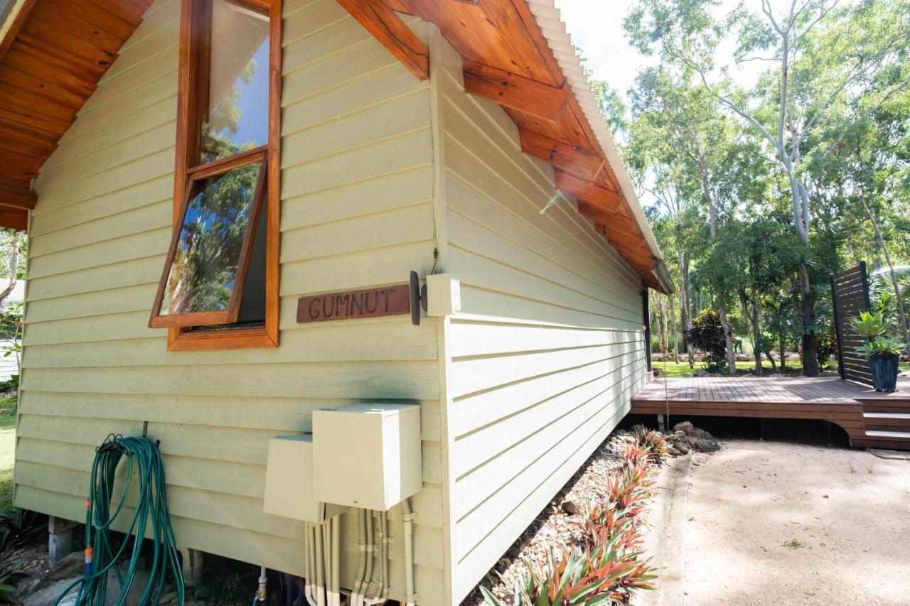 Airlie Beach Eco Cabins - Adults Only المظهر الخارجي الصورة